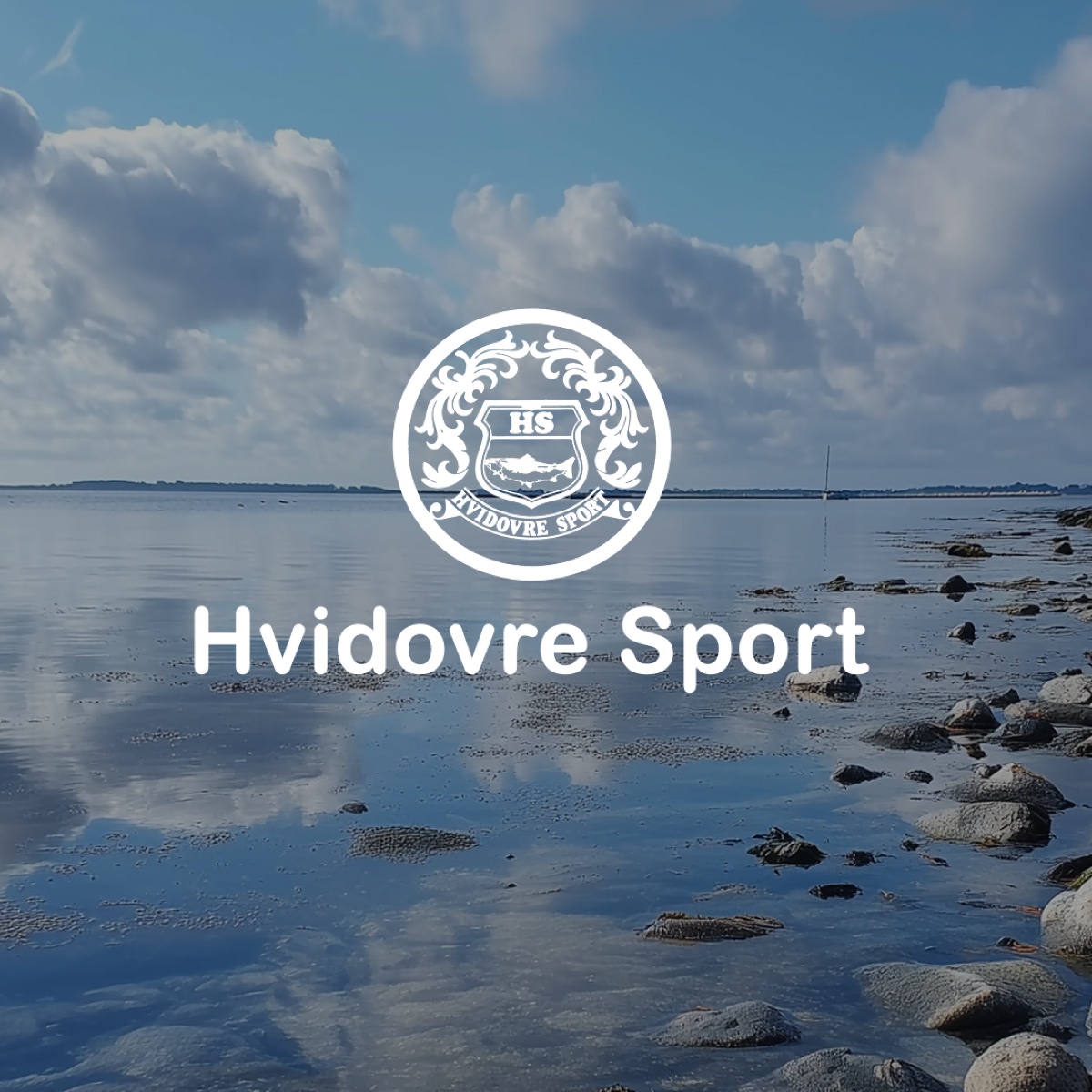 Hvidovre Sport
