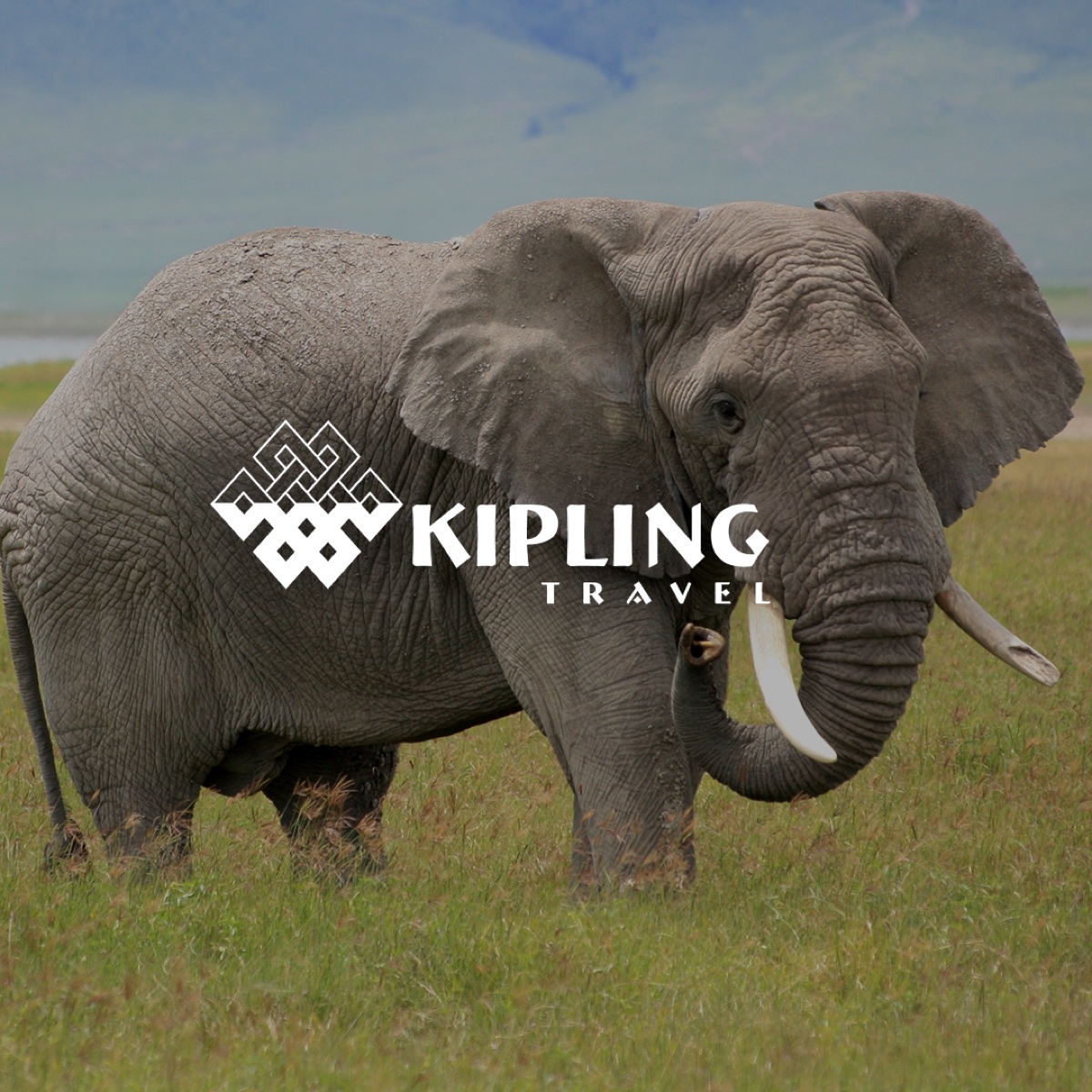 Kipling Travel