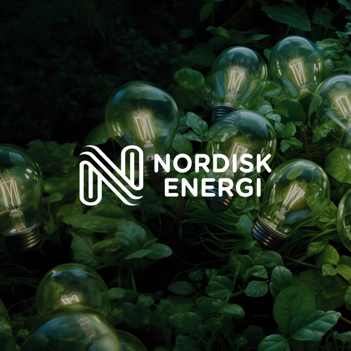 Nordisk Energi