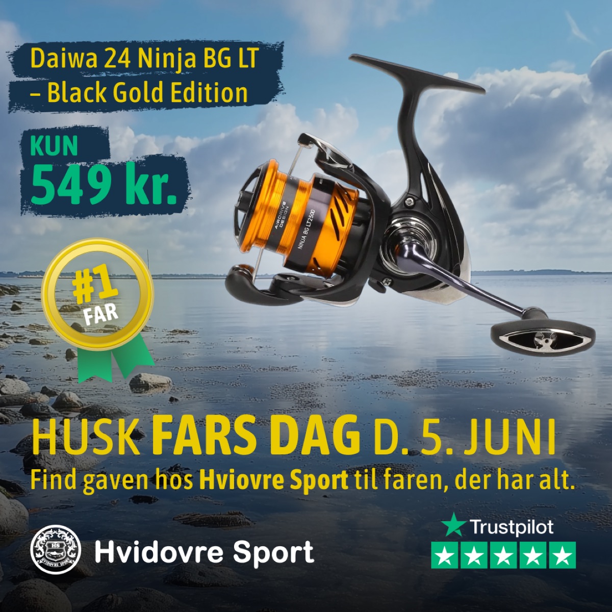 Hvidovre Sport